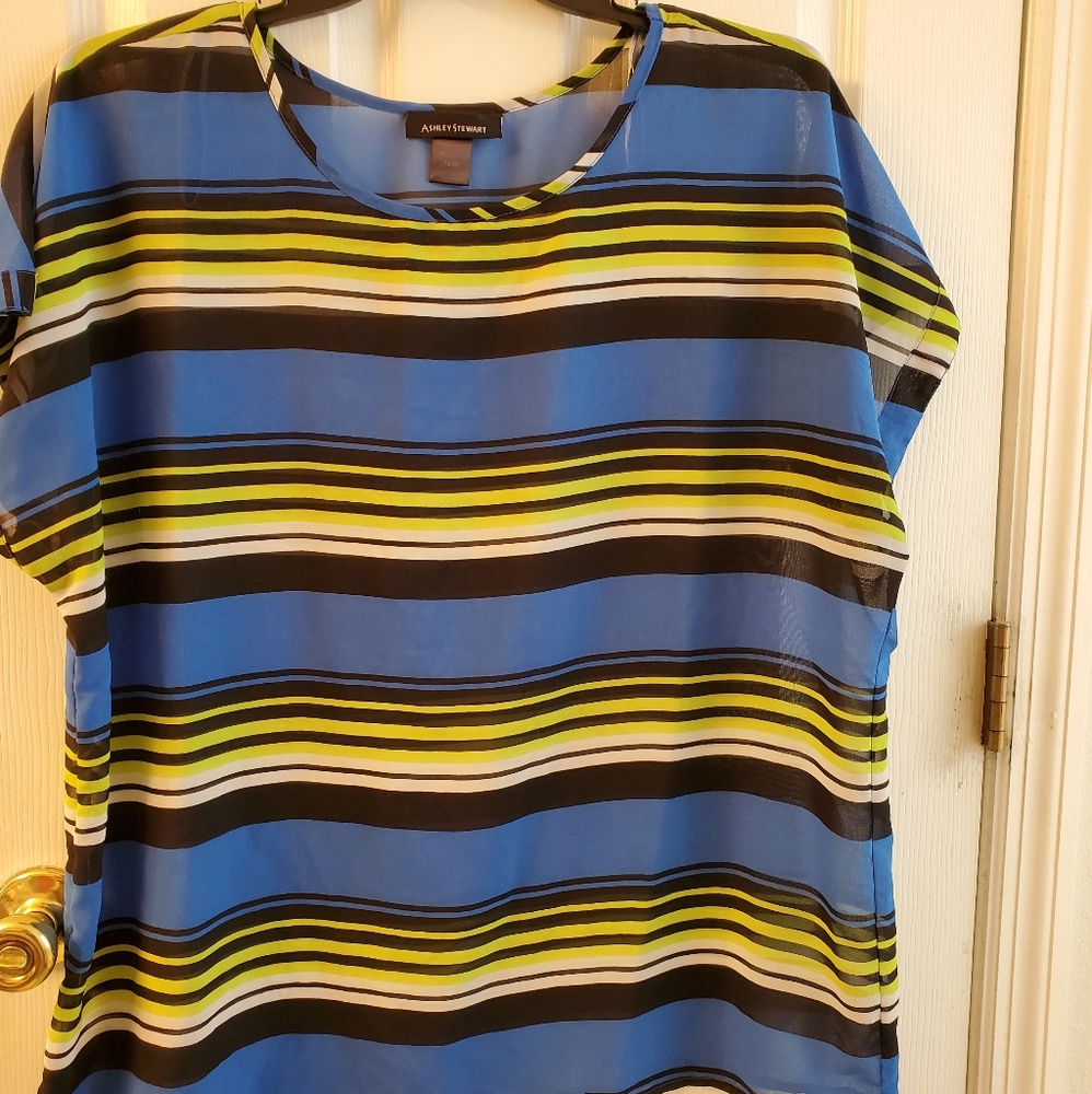 Blue and Lite Green See through Blouse.